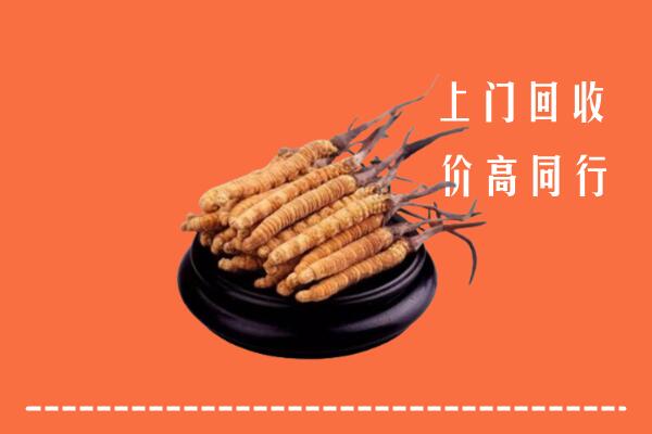长葛市回收散虫草