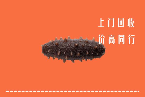长葛市回收海参